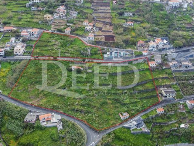 Terreno venda em Calhau da Lapa, Ribeira Brava