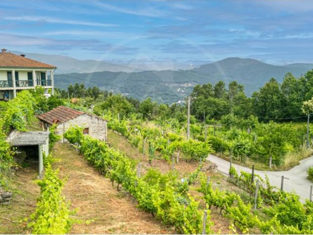 Terreno venda em Salvador, Vila Real