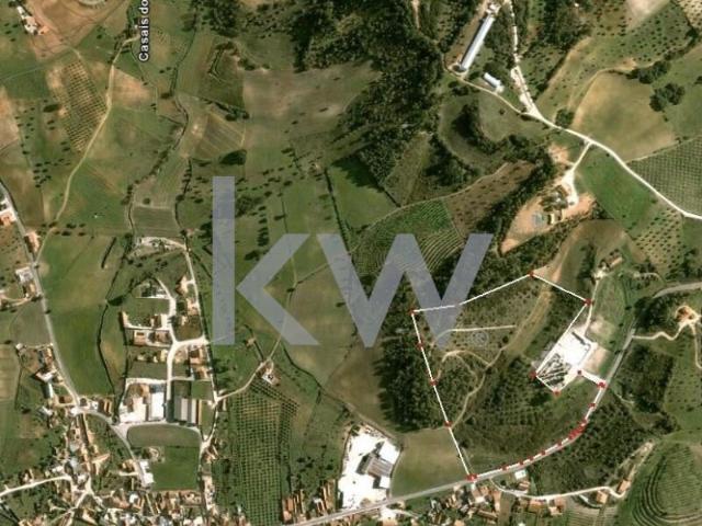 Terreno venda em Casais do Arrocho, Santarém