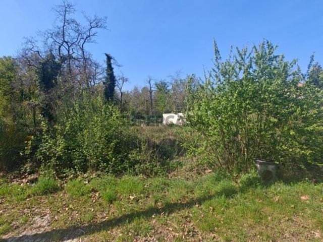 Terreno venda em Viseu