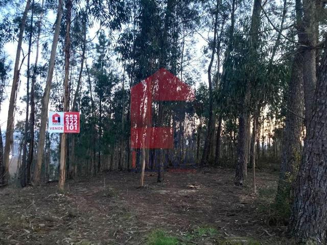 Terreno venda em Vila Verde, Braga