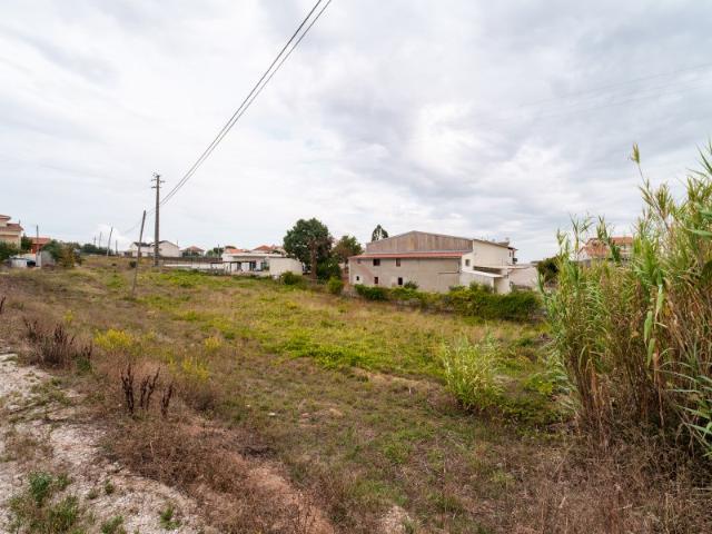 Terreno venda em Santa Catarina da Serra e Chainça, Leiria