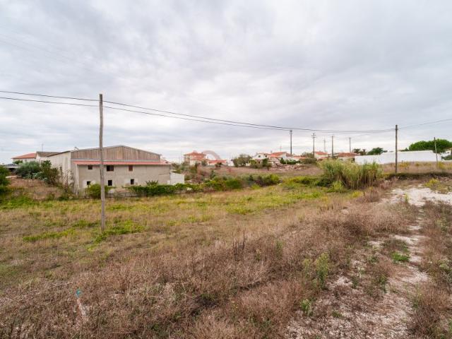 Terreno venda em Santa Catarina da Serra e Chainça, Leiria