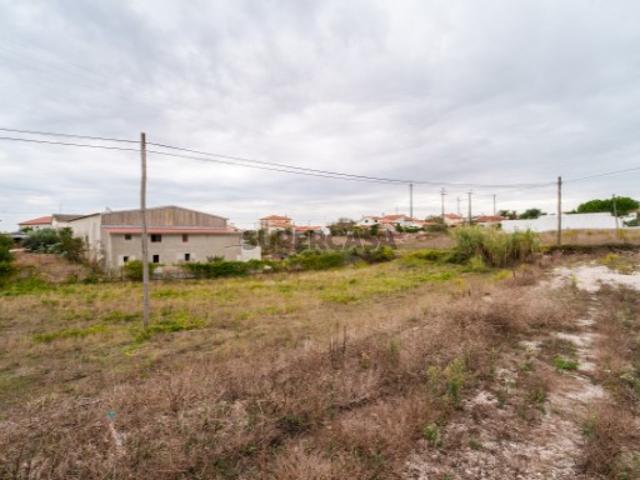 Terreno venda em Leiria