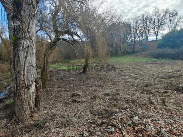 Terreno venda em Couto Do Mosteiro, Viseu