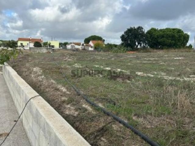 Terreno venda em Coruche, Santarém