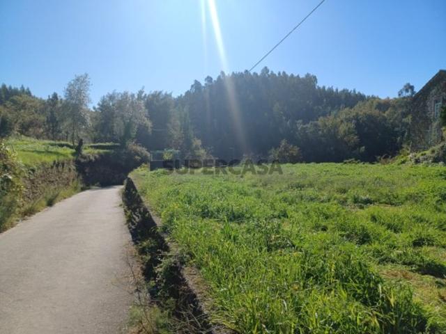 Terreno venda em Sever Do Vouga, Aveiro