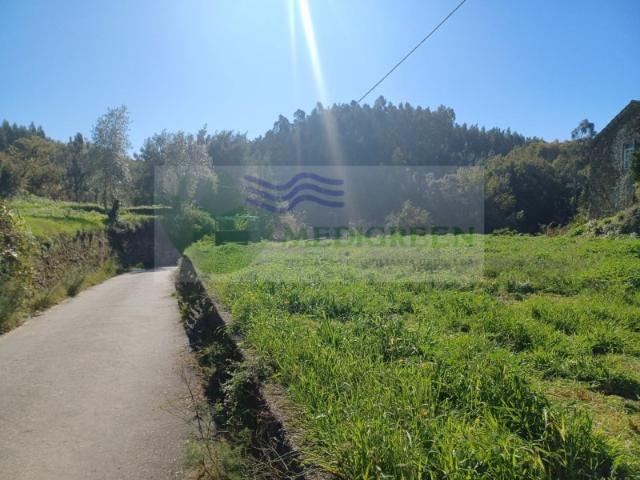 Terreno venda em Sever Do Vouga, Aveiro