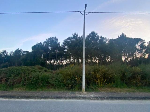 Terreno venda em Carregal Do Sal, Viseu