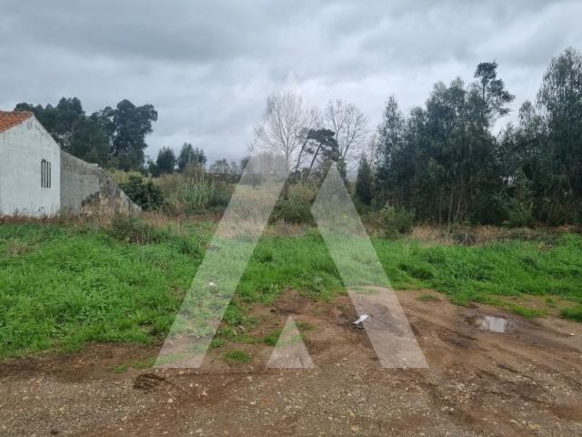 Terreno venda em Landiosa, Águeda