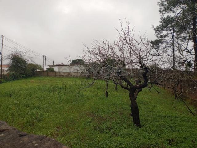 Terreno venda em Alcobaça, Leiria