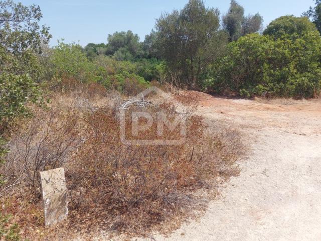 Terreno venda em Algoz, Faro
