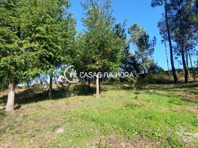 Terreno venda em Viseu