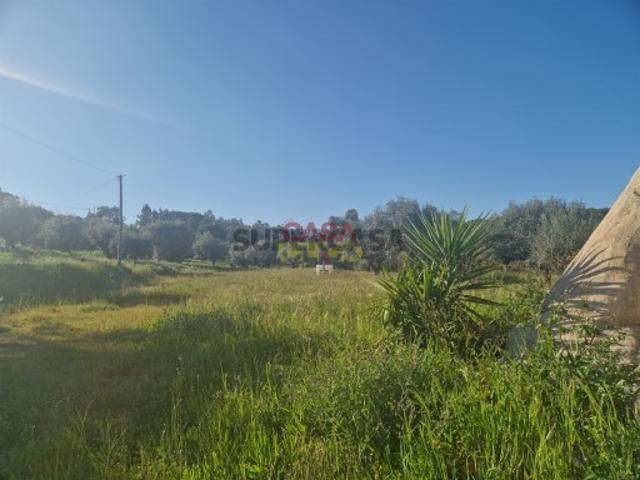 Terreno venda em Tomar, Santarém