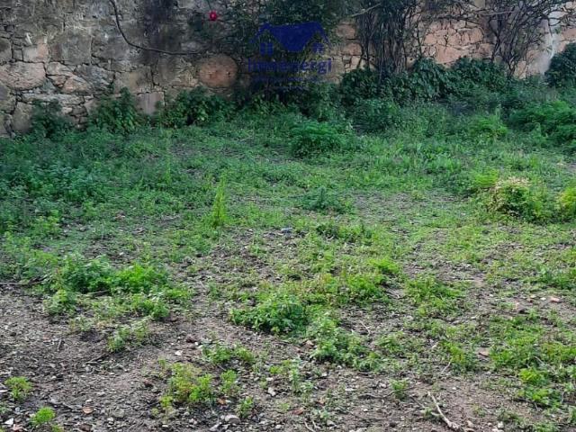 Terreno venda em Vila Do Conde, Porto