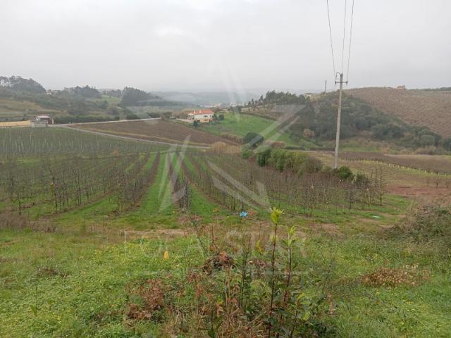 Terreno venda em Carvalhal Benfeito, Caldas Da Rainha