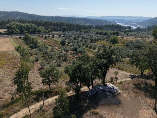 Terreno venda em Mortágua, Viseu