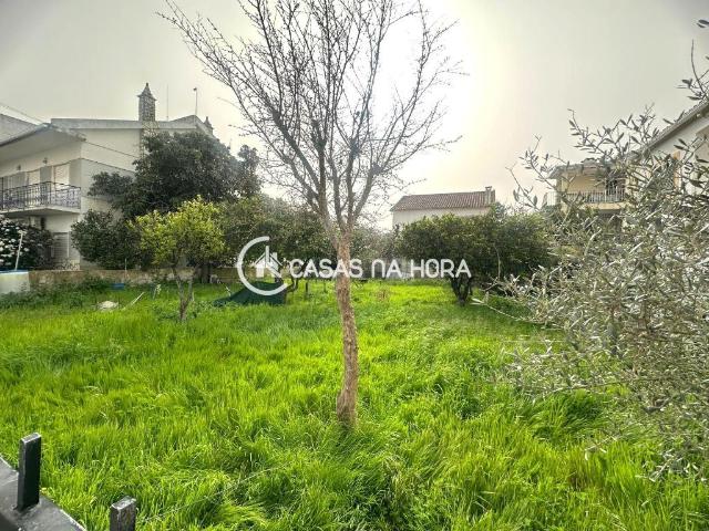 Terreno venda em Quinta do Conde, Sesimbra