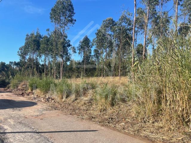 Terreno venda em Valado dos Frades, Nazaré
