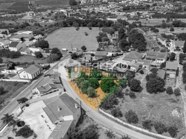 Terreno venda em Santarém