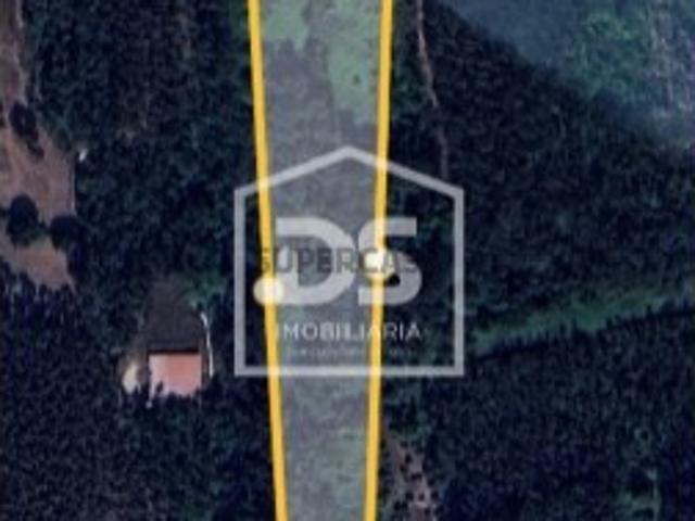 Terreno venda em Alcobaça, Leiria