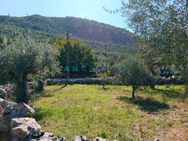 Terreno venda em Porto De Mós, Leiria