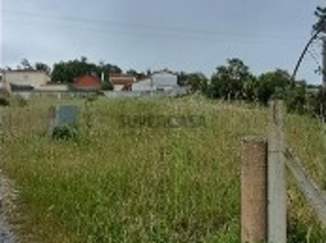 Terreno venda em Leiria