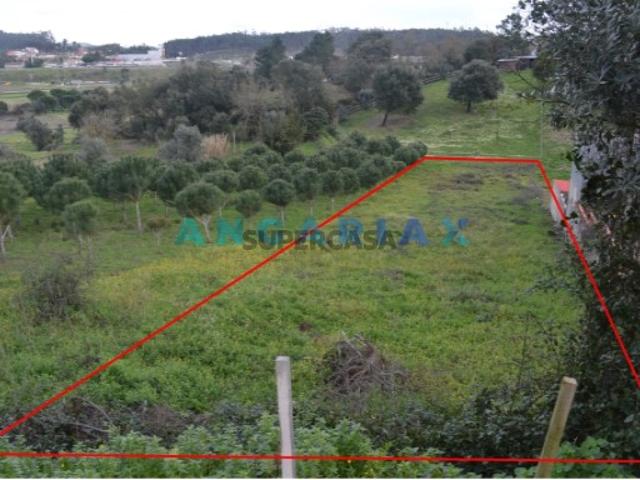 Terreno venda em Leiria