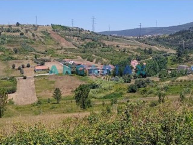 Terreno venda em Batalha, Leiria