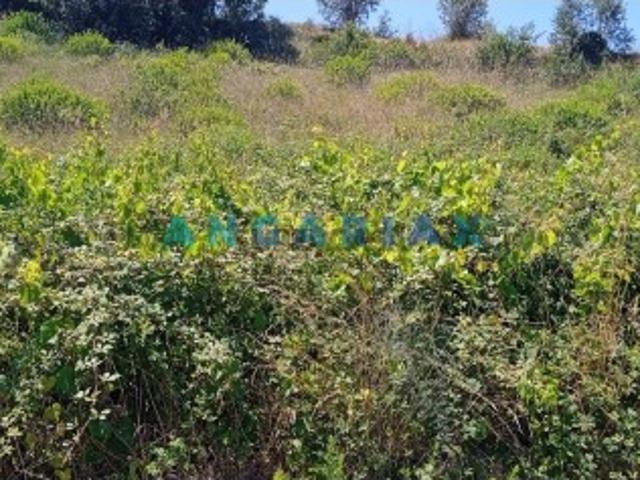 Terreno venda em Batalha, Leiria