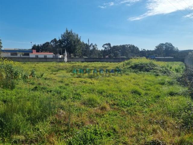 Terreno venda em Porto De Mós, Leiria