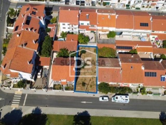 Terreno venda em Castelo Branco