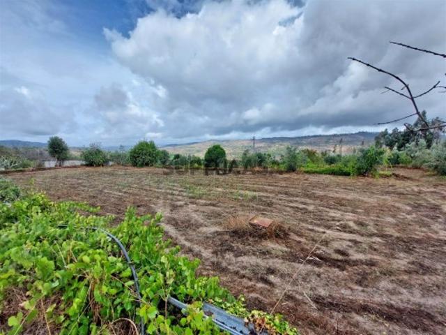 Terreno venda em Pindo, Penalva do Castelo