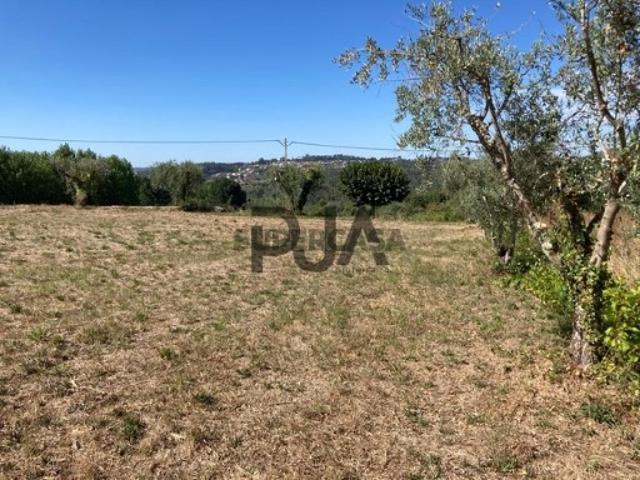 Terreno venda em Penalva Do Castelo, Aldeia das Posses Terreno venda em Penalva Do Castelo, Aldeia das Posses