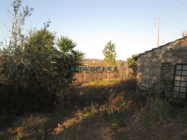 Terreno venda em Leiria