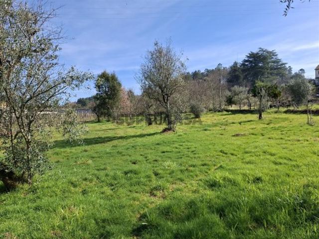Terreno venda em Mourilhe, Viseu