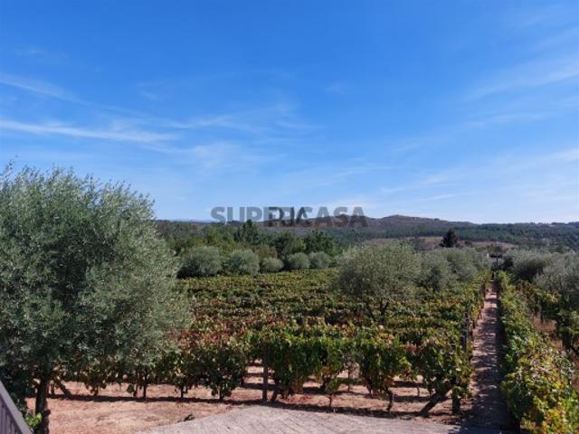 Terreno venda em Mangualde, Vila Garcia Terreno venda em Mangualde, Vila Garcia