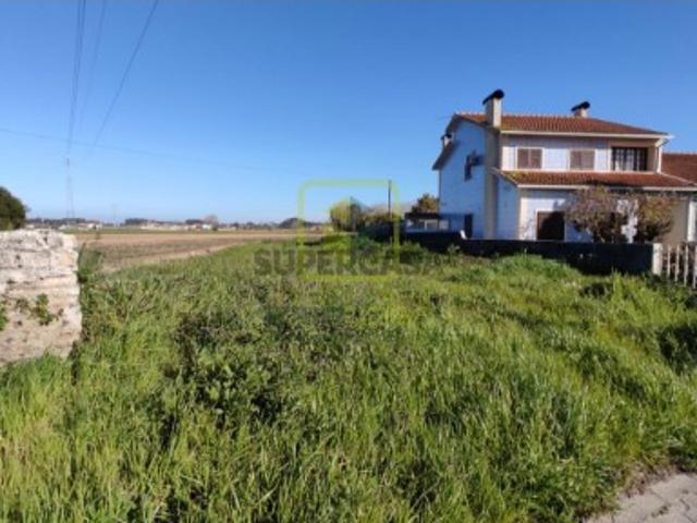 Terreno venda em Chousa Velha, Ílhavo