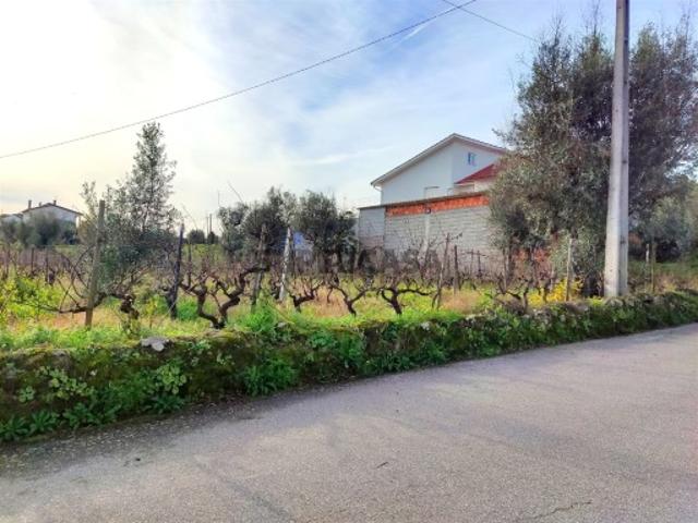 Terreno venda em Penalva Do Castelo, Sangemil Terreno venda em Penalva Do Castelo, Sangemil