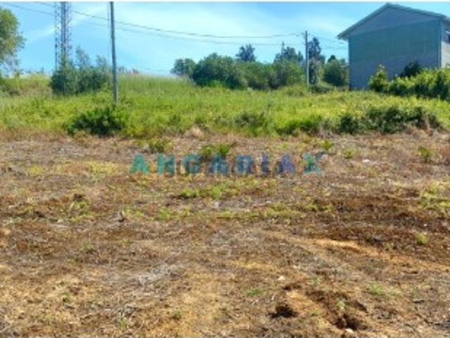 Terreno venda em Bairro dos Anjos, Leiria