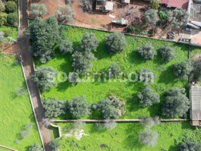 Terreno venda em Loulé, Faro