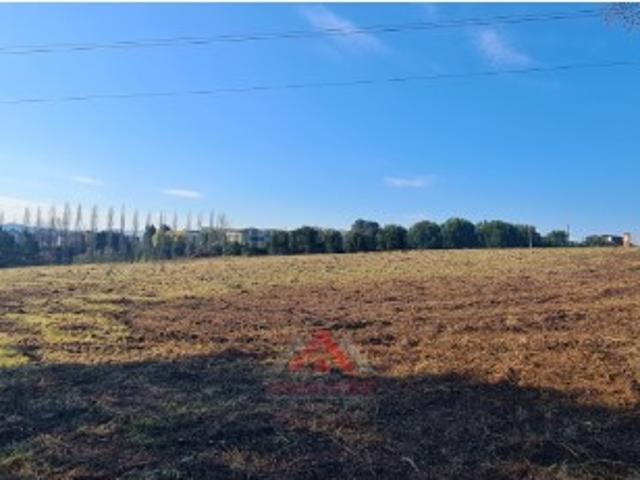 Terreno venda em Leiria