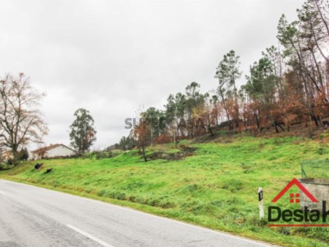 Terreno venda em Castro Daire, Viseu