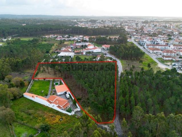 Terreno venda em Marinha Grande, Leiria