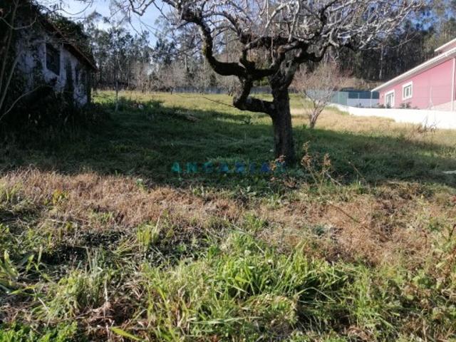 Terreno venda em Casal dos Maios, Leiria