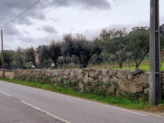 Terreno venda em Guarda, São Julião