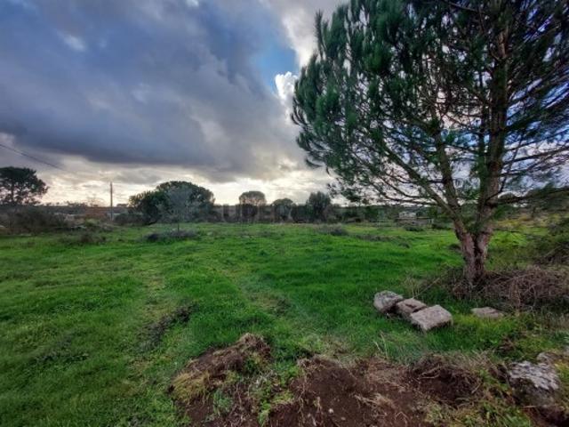 Terreno venda em Guarda, Seia