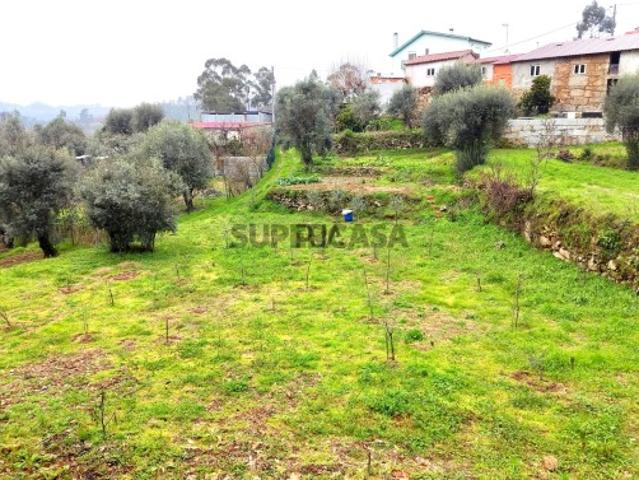 Terreno venda em Penalva Do Castelo, Moinhos Pepim Terreno venda em Penalva Do Castelo, Moinhos Pepim