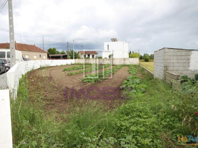 Terreno venda em Aveiro