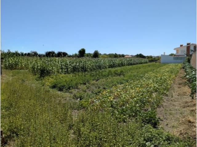 Terreno venda em Aveiro